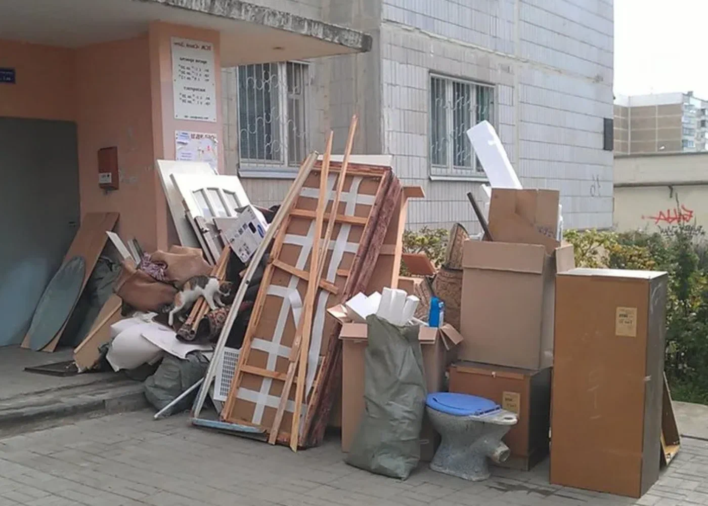 Профессиональный вывоз мусора из квартиры в Стрежевом в октябре