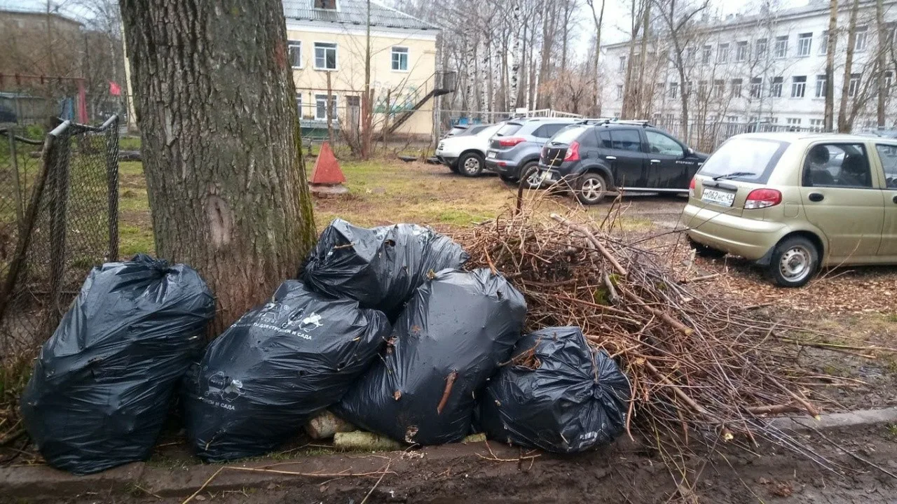 Вывоз мусора после субботника в Стрежевом от ПроМусор – уборка и утилизация отходов от 2396 руб
