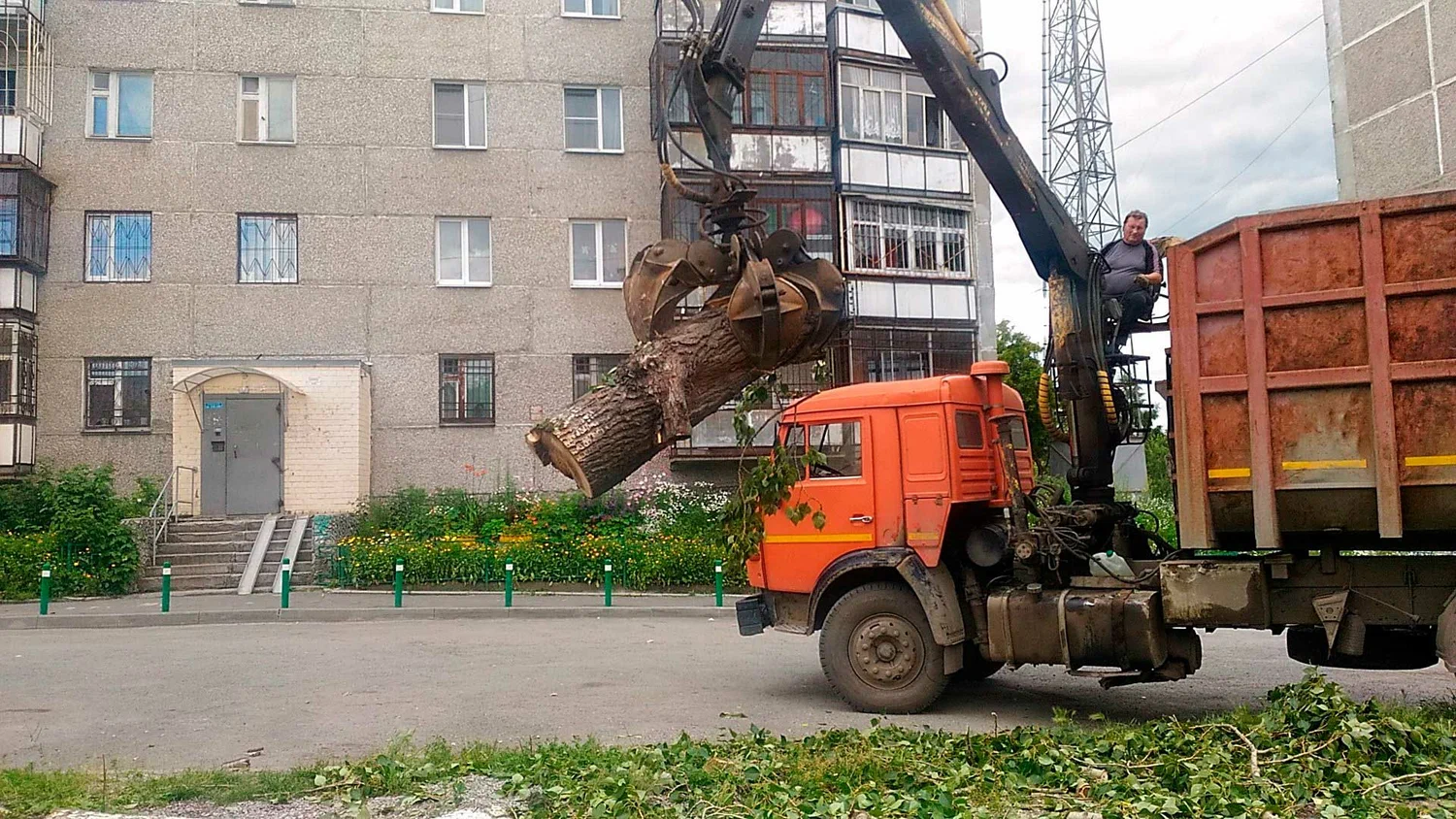 Вывоз спиленных веток и деревьев в Стрежевом от ПроМусор: порубочные остатки, утилизация, цена от 2957 руб