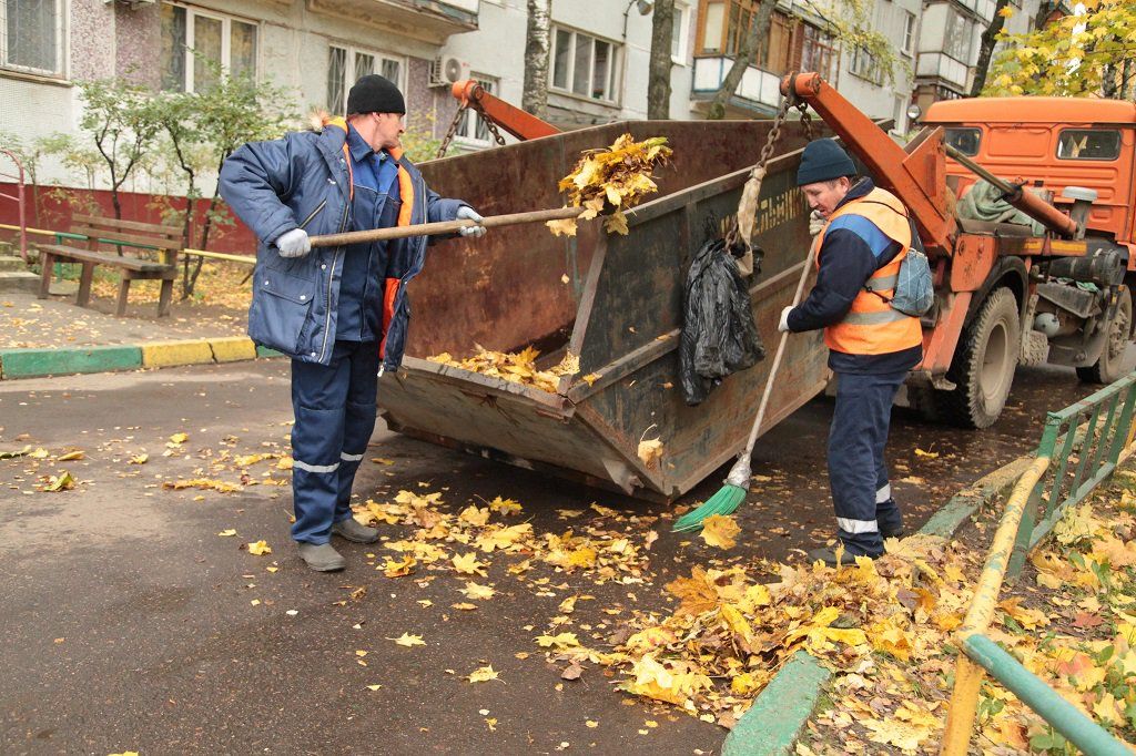 Вывоз опавшей листвы и растительного мусора в Стрежевом от ПроМусор – цена от 4588 руб., быстрая уборка и утилизация